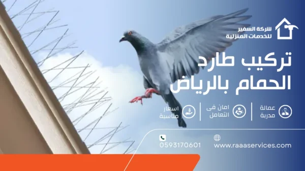 تركيب طارد الحمام بالرياض