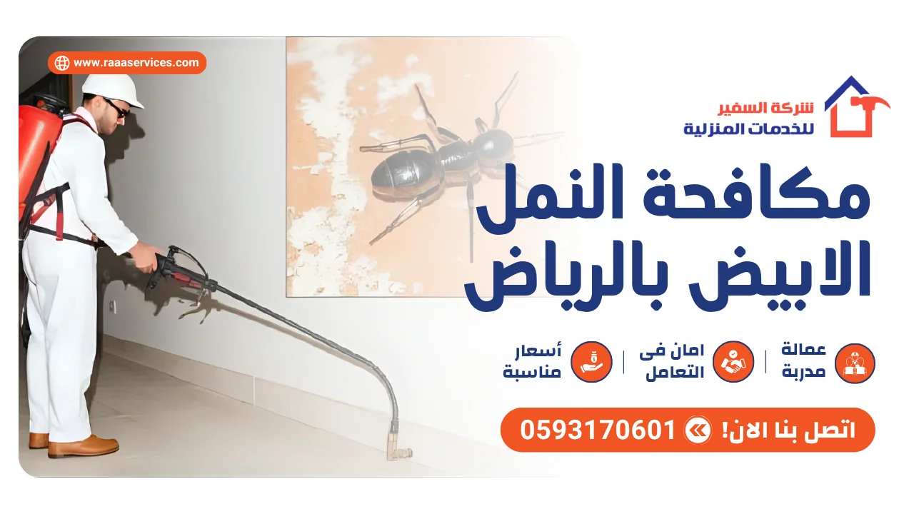 -النمل-الابيض-بالرياض2 مكافحة النمل الابيض بالرياض