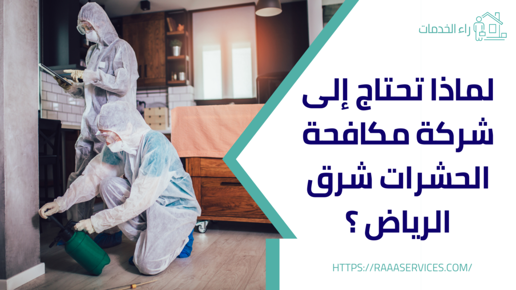 شركة مكافحة الحشرات شرق الرياض